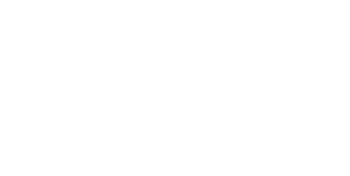 Allegra Journeys